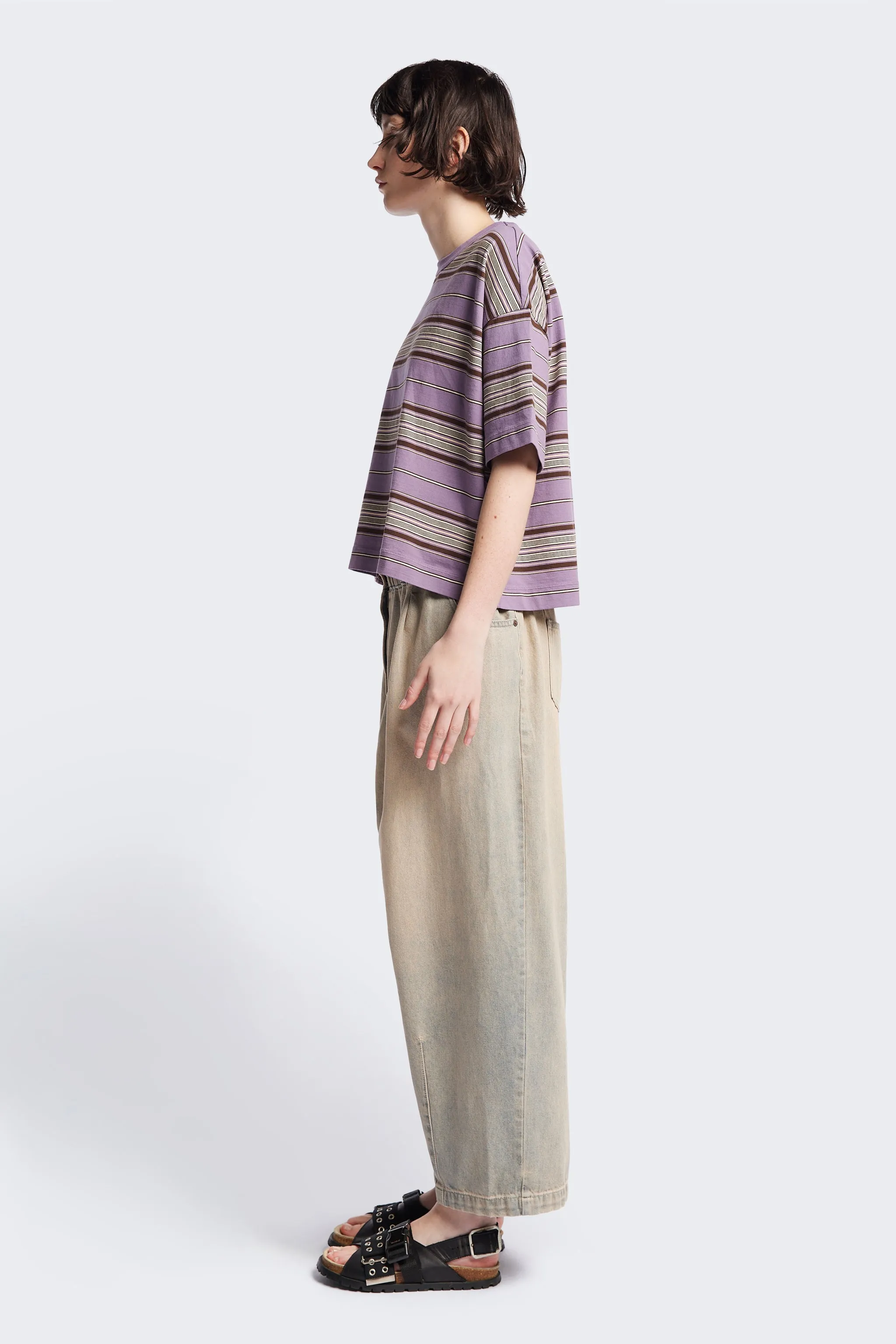 Ascent T-Shirt Purple Stripe