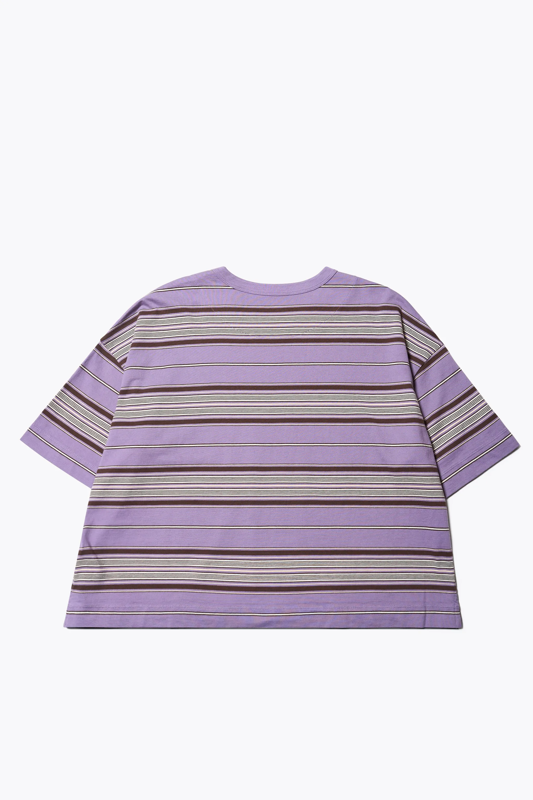 Ascent T-Shirt Purple Stripe