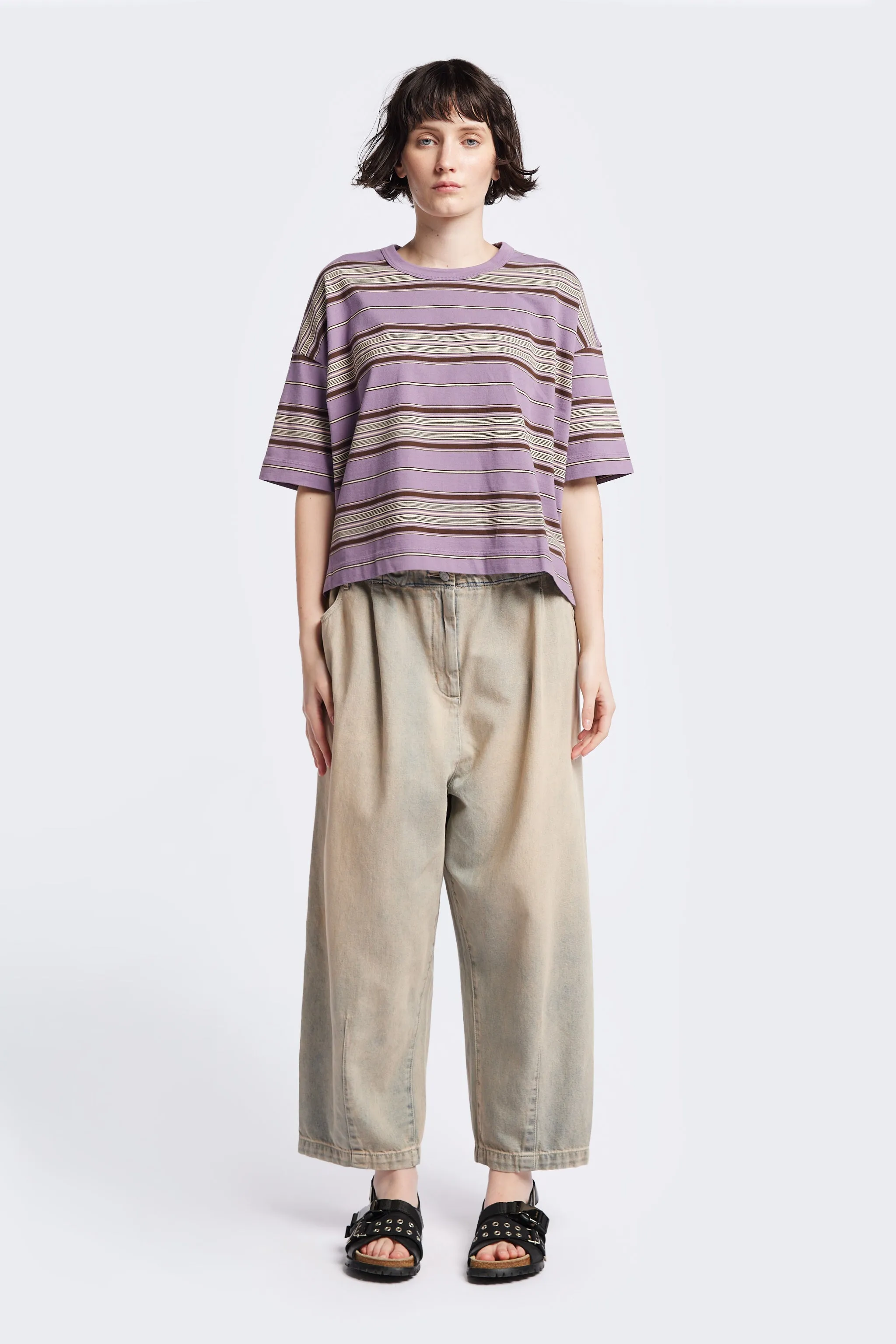Ascent T-Shirt Purple Stripe