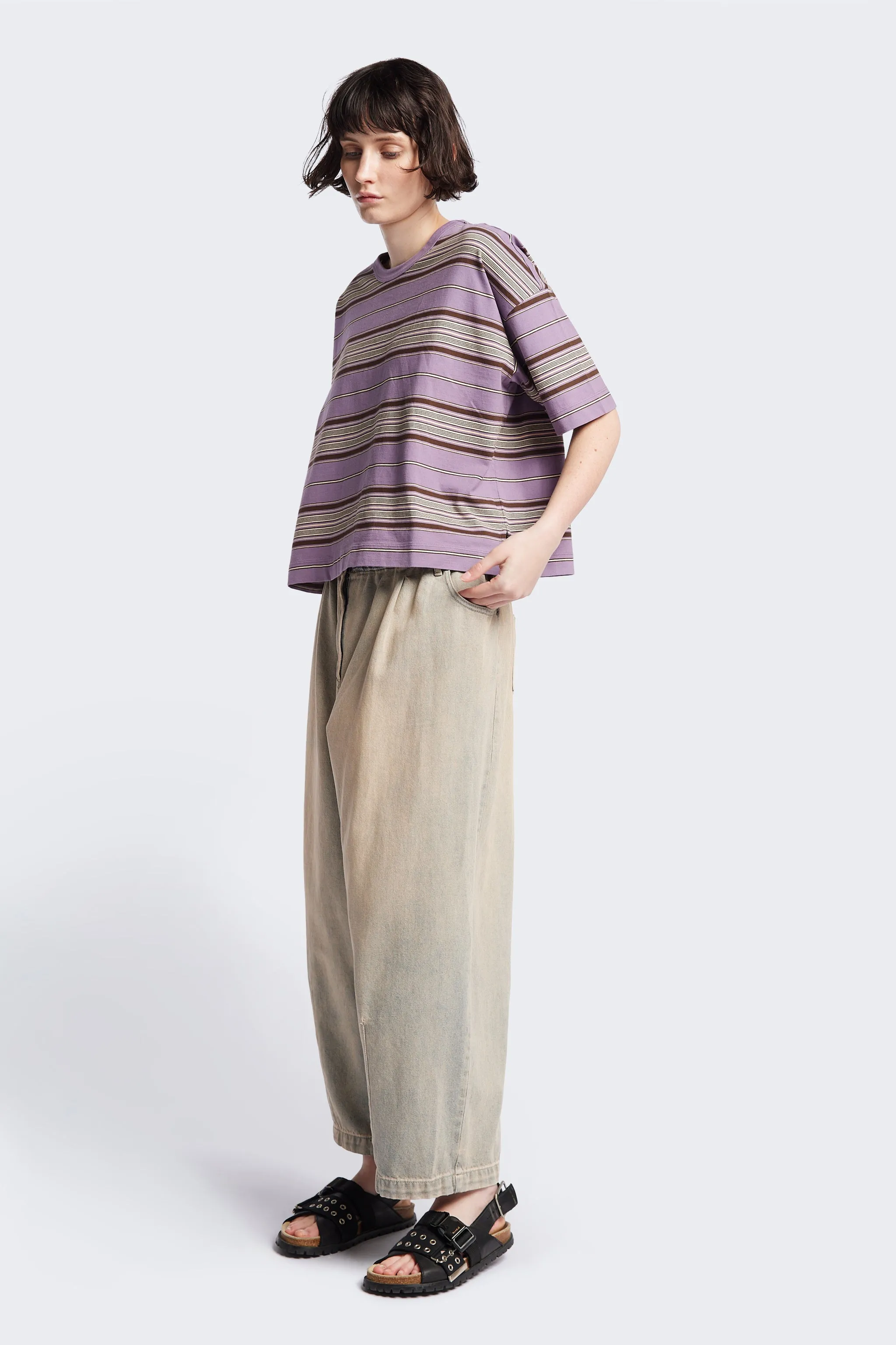 Ascent T-Shirt Purple Stripe
