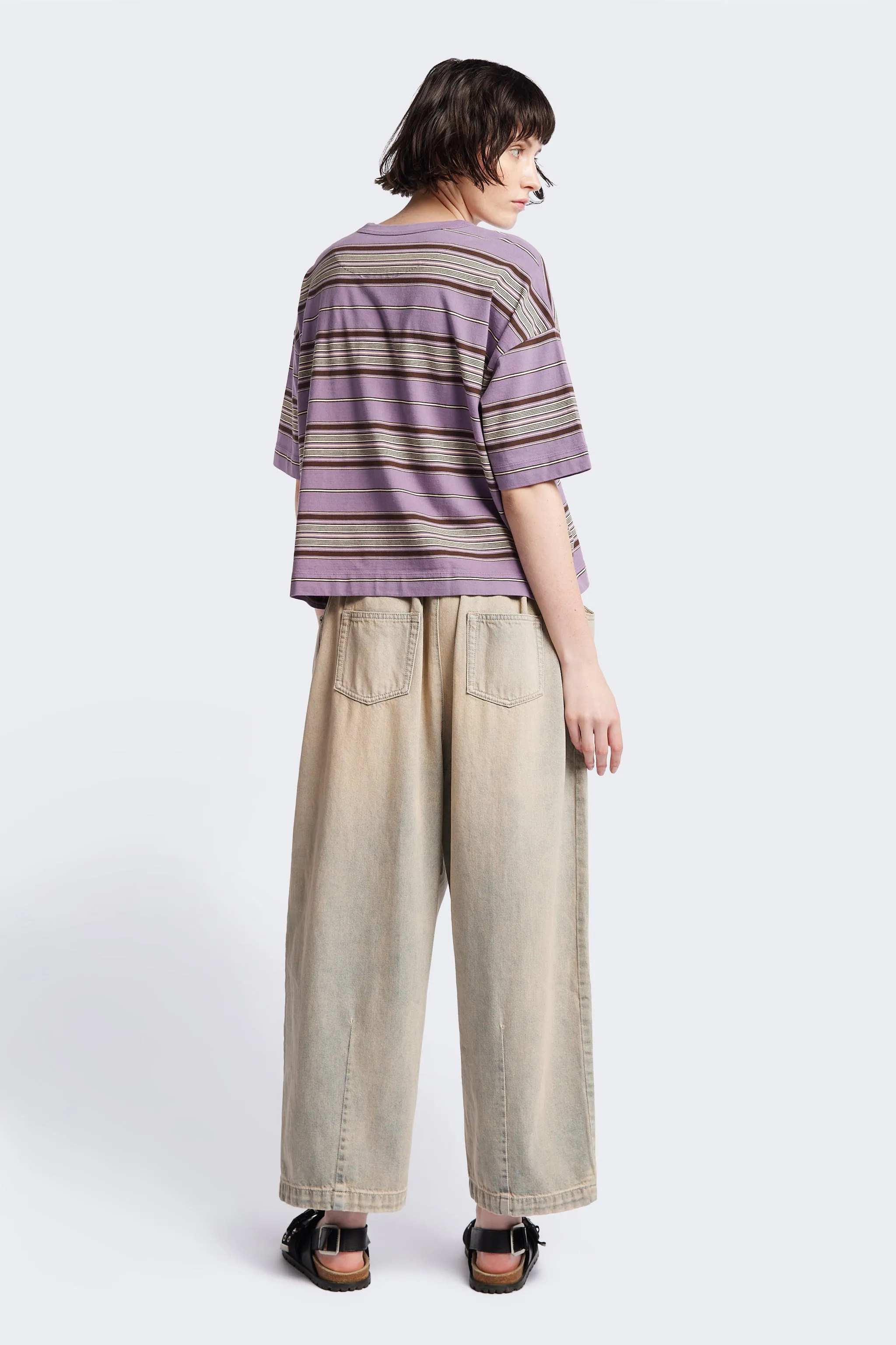 Ascent T-Shirt Purple Stripe