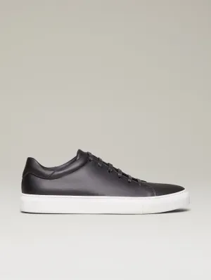 The Lucente (Sample Sale)